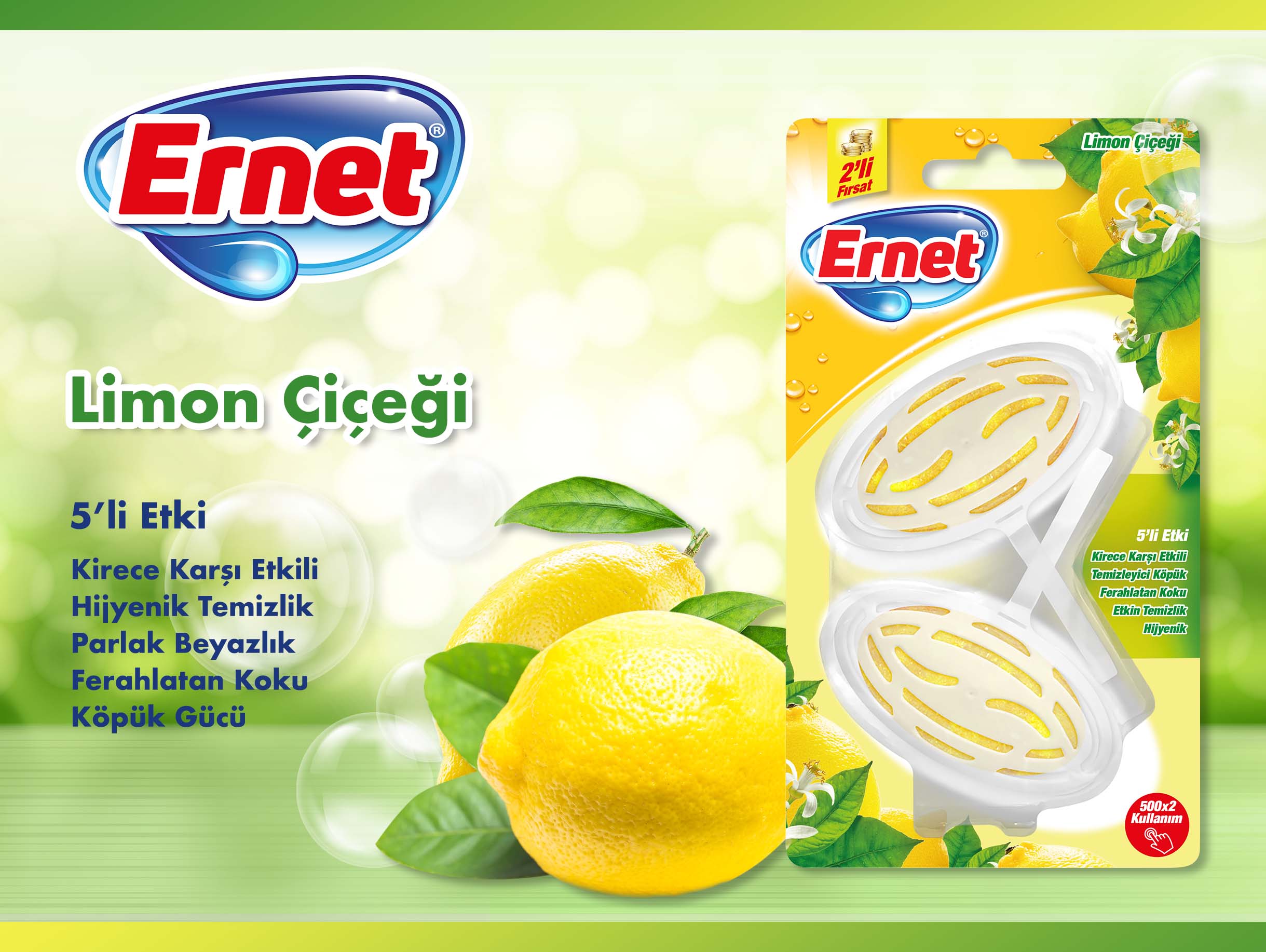 Limon Çiçeği.jpg (275 KB)