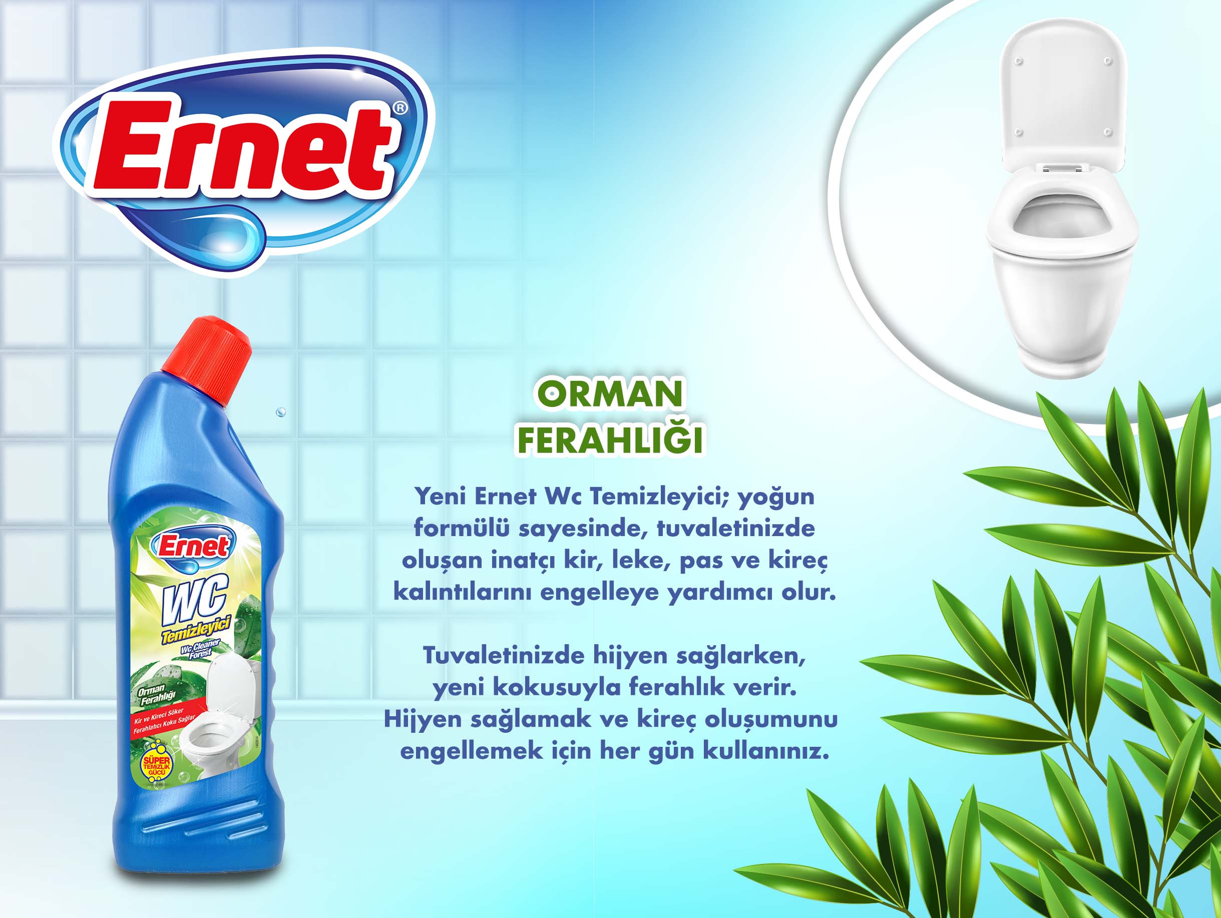 WC Temizleyici orman ferahlığı.jpg (271 KB)