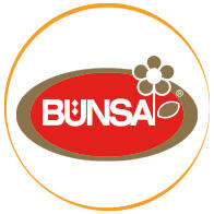 Bünsa